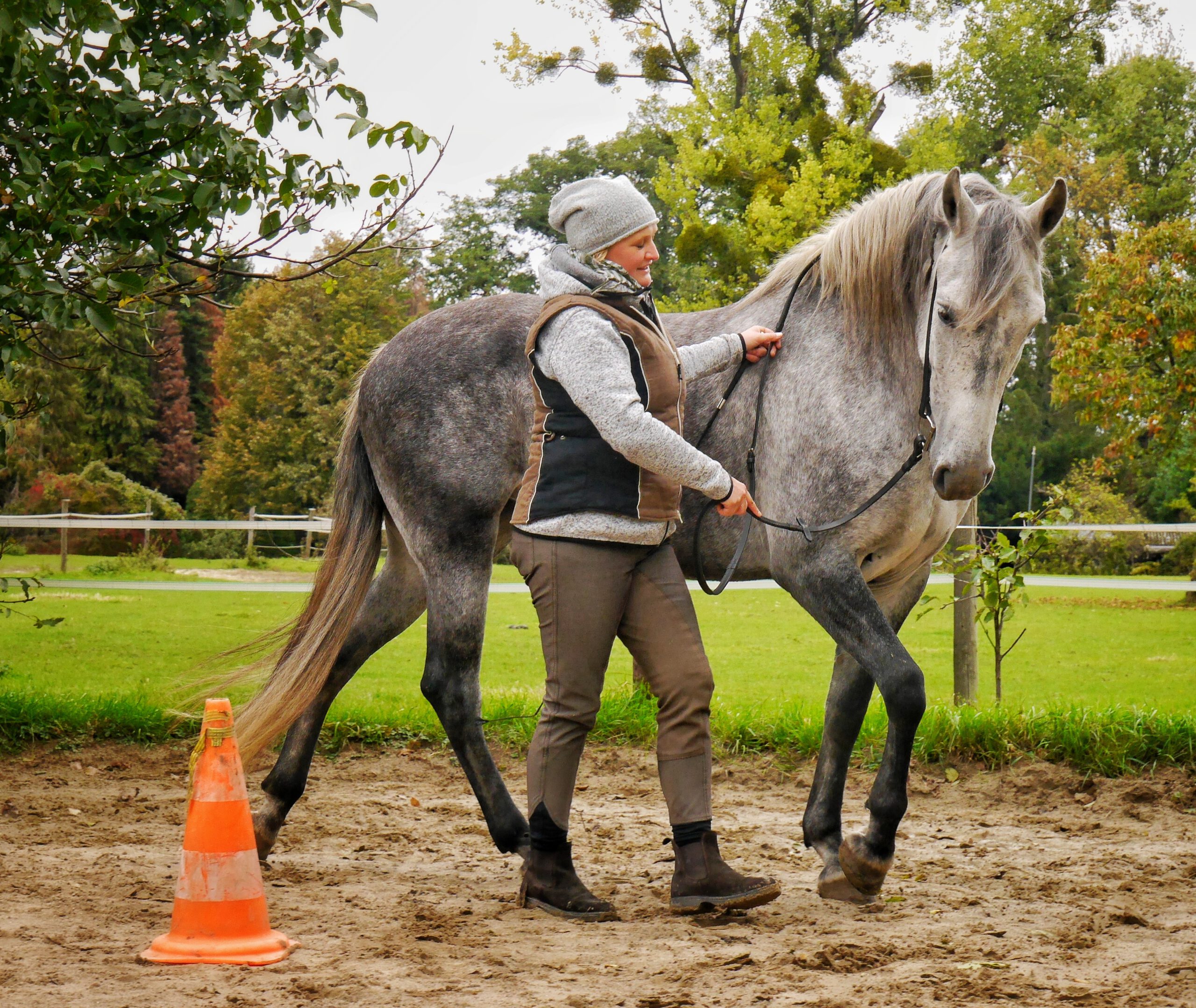 Unterricht Klassische Reitkunst